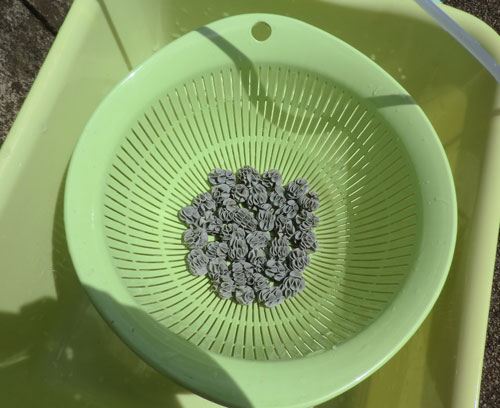 フィルターお掃除 原色レトロチカ